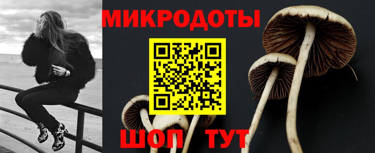 Галлюциногенные грибы Cubensis Донецк
